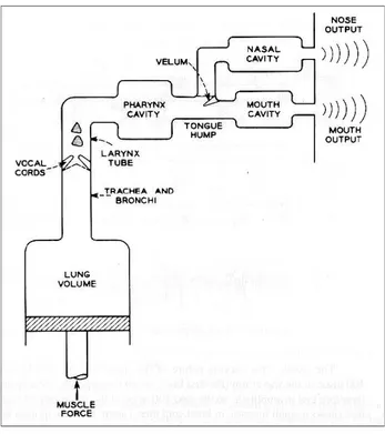 Gambar 2.2. Model Sistem Produksi Ucapan Manusia 