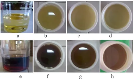 Gambar 3. Perubahan warna minyak pelumas sebelum dan setelah penambahan aditif (a) HVI 60 murni  (b) HVI 60 + 1% kopoli NR-ST, (c) HVI 60 + 3% kopoli NR-ST, (d) HVI 60 + 5% kopoli NR-ST, (e)  HVI 650 murni, (f) HVI 650 + 1% kopoli NR-ST, (g) HVI 650 + 3% k