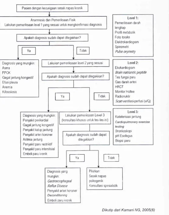Gambar  1.  Algoritma  evaluasi pasien  dengan  sesak  napas  kronikG