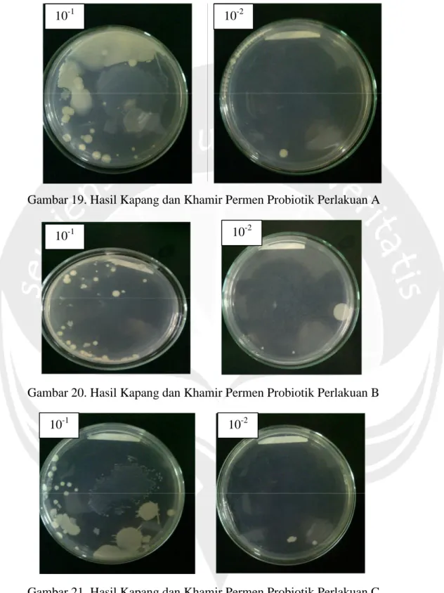 Gambar 19. Hasil Kapang dan Khamir Permen Probiotik Perlakuan A