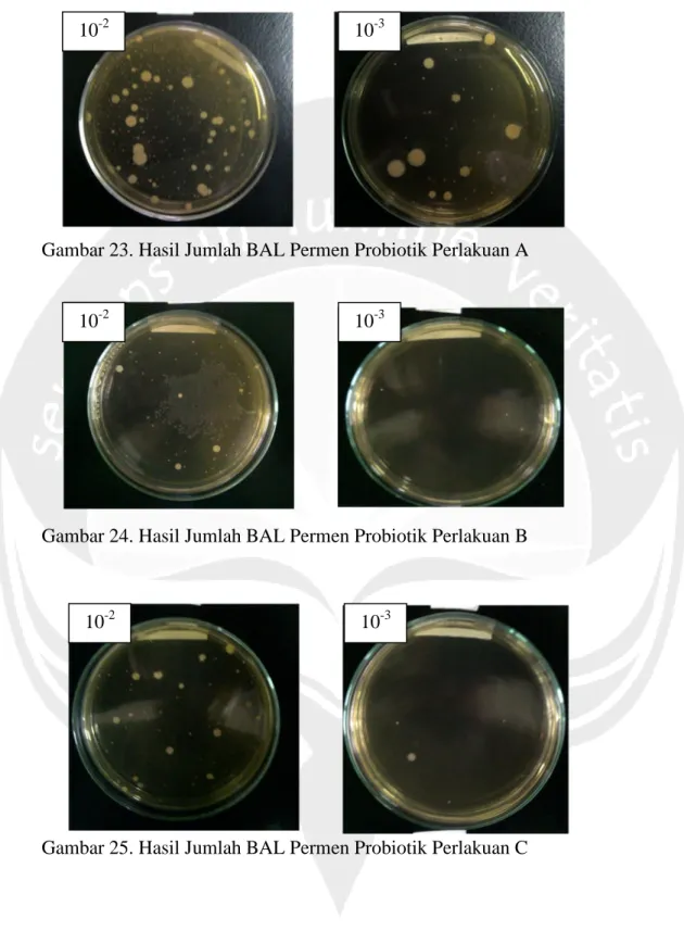 Gambar 23. Hasil Jumlah BAL Permen Probiotik Perlakuan A