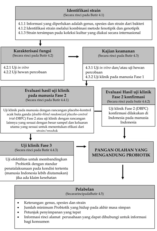 Gambar  2.  Skema  Evaluasi  Probiotik,  dengan  uji  klinik  Fase  2  konfirmasi  dilakukan di Indonesia
