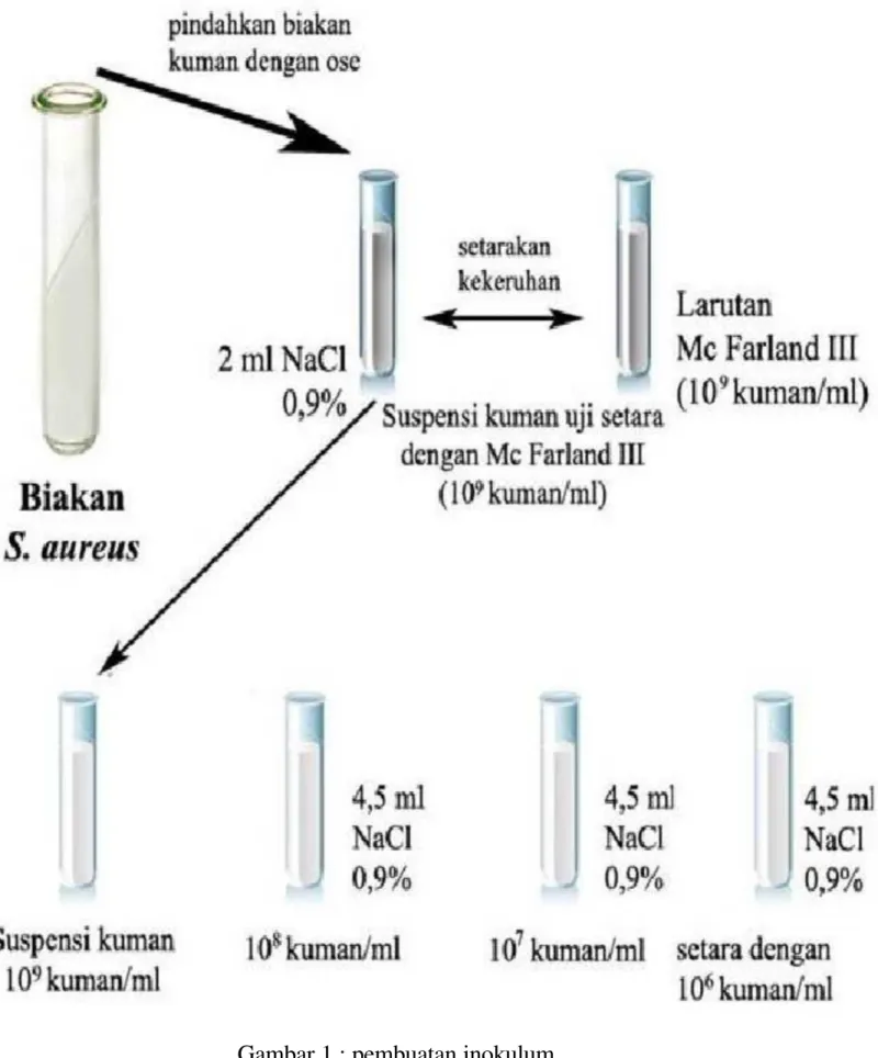 Gambar 1 : pembuatan inokulum