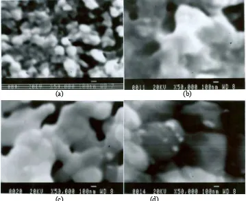 Gambar 15 Foto SEM HAp dengan pelarut air setelah sinter dengan gas CO2. (a)suhu sinter 900 oC (b) suhu sinter 1000 oC (c) suhu sinter 1100 oC (d) suhu sinter 1150 oC