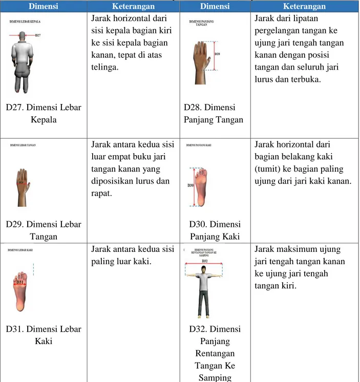 Tabel 1.2 Dimensi Antropometri Indonesia (Lanjutan) 
