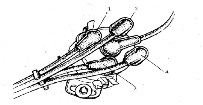Gambar 2. Penempatan Kabel Busi Pada Distributor Untuk Engine 4 Silinder  (Urutan Pengapian: 1-3-4-2) 