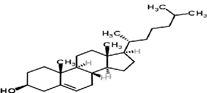 Gambar 4. Struktur kimia kolesterol (Poedjiadi, 1994) 