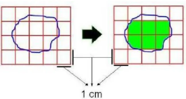 Gambar 2.4.Contoh poligon