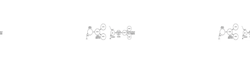 Gambar 1.1. Susunan sitogenetik dari mola hidatidosa. A. Sumber kromosom dari mola lengkap