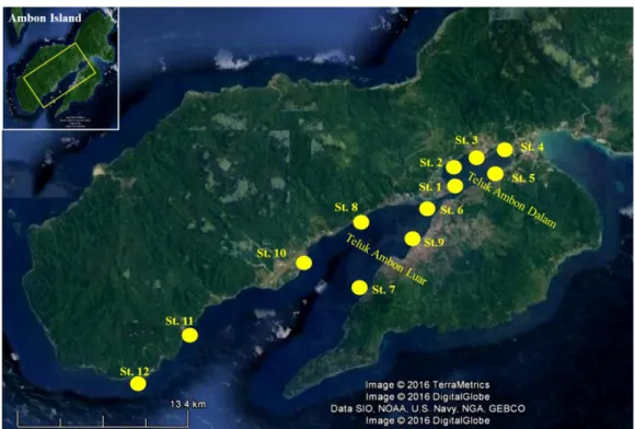 Table 1. Description and types of bottom substrates in the research stations of Ambon Bay