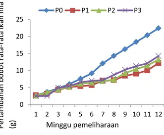 Tabel 1. Pertumbuhan Bobot Mutlak Ikan      Nila (Oreochromis niloticus) 
