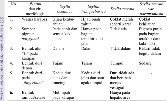 Tabel 1  Karakteristik  kepiting bakau (Scylla spp.)