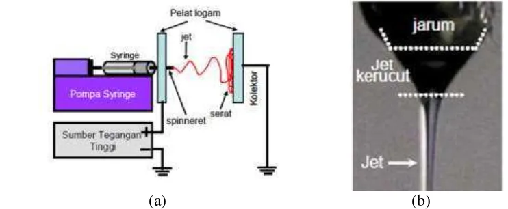 Gambar 1. (a) Proses Elektrospinning.5 (b) Penarikan larutan pada Electrospinning.5  