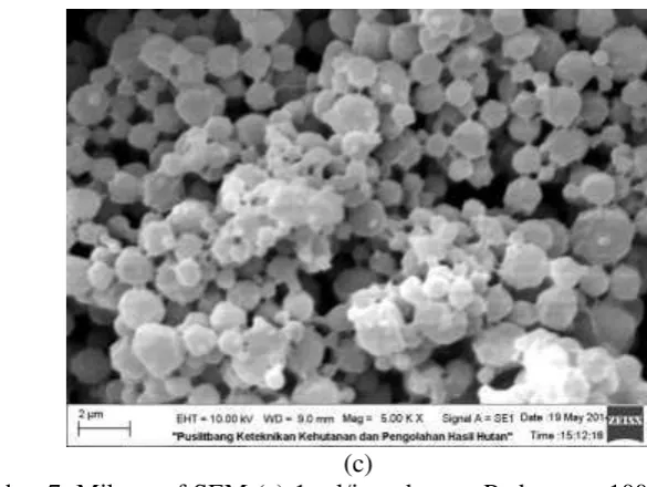 Gambar 7. Mikrograf SEM (a) 1 ml/jam dengan Perbesaran 10000 kali (b) 