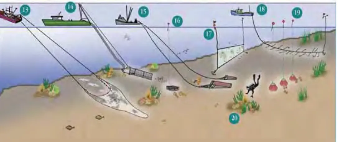 Gambar  5. Berbagai teknik penangkapan ikan menguras isi laut 