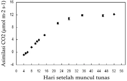Gambar 2. Rata-rata  laju  asimilasi  CO 2   maksimum  pada  kondisi  jenuh  cahaya  terhadap umur daun pada klon RRIM 600 (umur tanaman dua tahun) Sumber : Kositsup et al