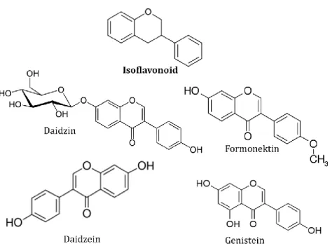 Gambar 1.2. Struktur kimia senyawa golongan isoflavonoid  Senyawa  di-hidroflavone  adalah  senyawa  yang  memiliki  cincin  C  jenuh  dan  teroksidasi  dengan  struktur  dasar  flavanon