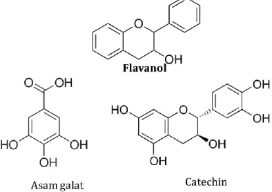 Gambar 1.4. Struktur kimia senyawa golongan flavanol 