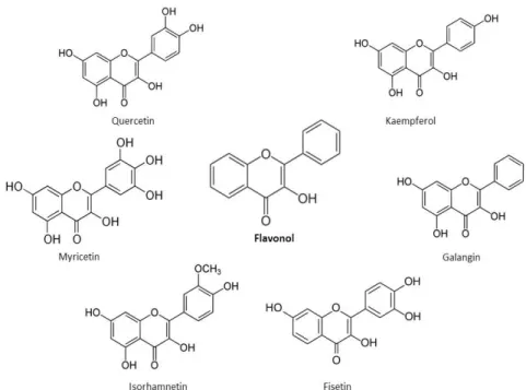 Gambar 1.5. Struktur kimia senyawa golongan flavonol 