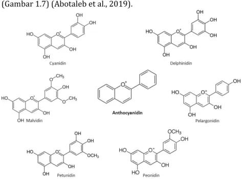 Gambar 1.7. Struktur kimia senyawa golongan antosianidin  Flavonoid  ada  dalam  bentuk  glikosida  yang  terikat  dengan  gula  atau  sebagai  aglikon  tanpa  gula  (Abotaleb  et  al.,  2019; 