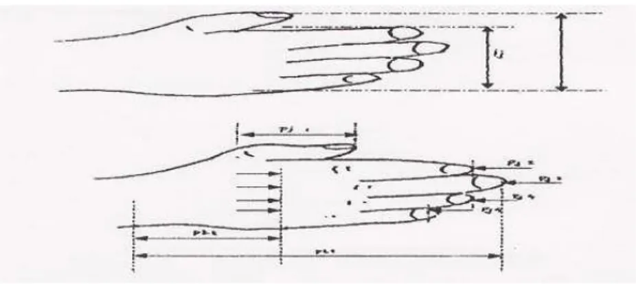 Gambar 2.4. Pengukuran Jari tangan  (Sumber : Wignjosoebroto S. 2000) 