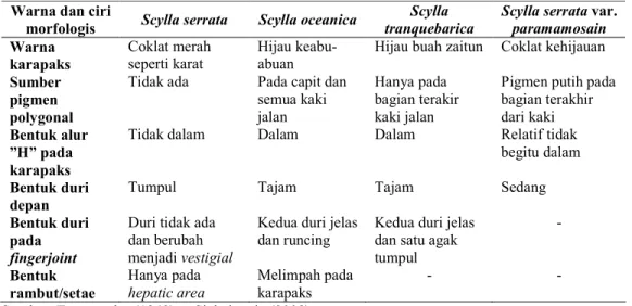 Tabel 1.  Karakteristik jenis kepiting bakau (Scylla spp) menurut Estampador. 