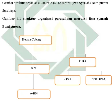 Gambar struktur organisasi kantor AJS  (Asuransi jiwa Syariah) Bumiputera 