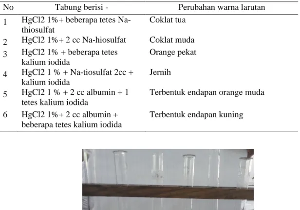 Gambar  4.  Perubahan  larutan  HgCl 2  dari  kiri  ke  kanan:  HgCl2  1%+  beberapa  tetes  Na- Na-thiosulfat;  HgCl2  1%+  2  cc  Na-hiosulfat;  HgCl2  1%  +  beberapa  tetes  kalium  iodide; HgCl2 1 % + Na-tiosulfat 2cc + kalium iodida ;HgCl2 1 % + 2 cc