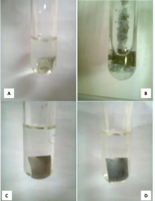 Gambar 5. Identifikasi racun logam berat dengan prinsip reaksi coating atau                      terbentuknya lapisan logam pada logam (platan) tembaga; (A)                        terbentuk lapisan hidrargium/merkuri, (B) Argentum/perak, (C)               