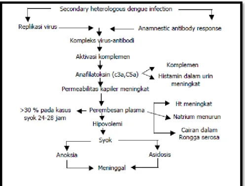 Gambar . Patogenesisi terjadinya syok pada DBD 
