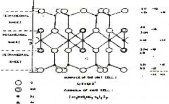 Gambar 1. Struktur zeolit jenis monmorlionit 