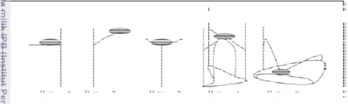 Gambar  3.  Empat  bentuk  dasar  posisi/pola  sarang  orangutan,  dan  posisi  sarang  yang tidak umum (Pattern 0) 