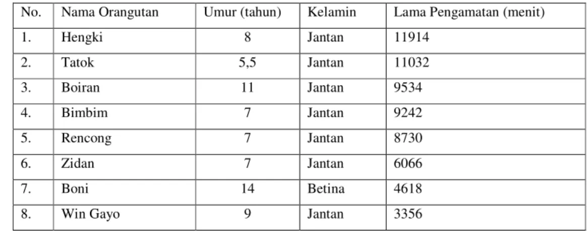 Tabel 2. Data individu orangutan yang diamati 