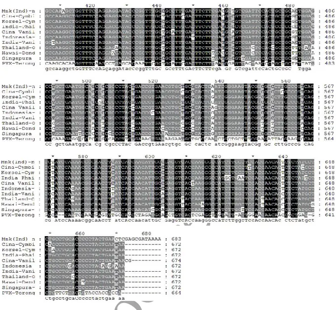 Gambar  5. Hasil alignment nukleotida antara genom CymMV isolat Manoko dengan nukleotida genom-genom CymMV  yang  didapatkan  dari  database GeneBank;  keterangan:  latar  belakang  warna  hitam menunjukkan  kesamaan  runutan  nukleotida  antar  isolat,  s