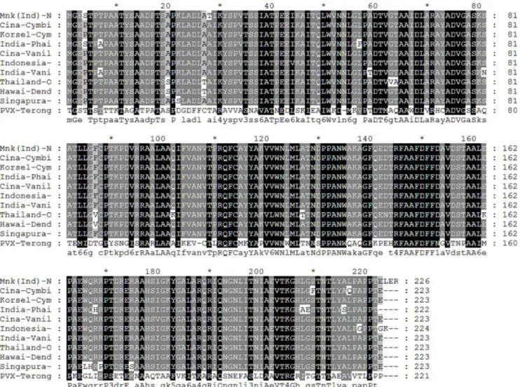 Gambar  4. Hasil alignment asam amino antara genom CymMV isolat Manoko dengan nukleotida genom- genom CymMV  yang  didapatkan  dari  database  GeneBank;  keterangan:  latar  belakang  warna  hitam menunjukkan  kesamaan  runutan  nukleotida  antar  isolat, 