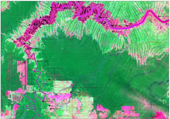 Figure	
  3.	
  Citra	
  Landsat	
  Tahun	
  1999	
  	
  Distrik	
  VI	
   	
  