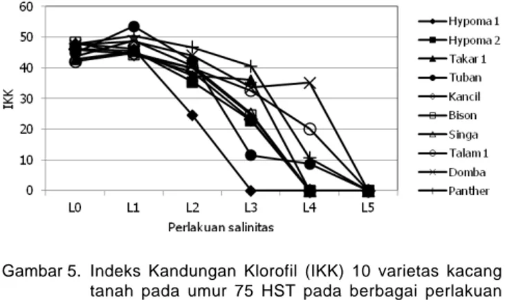 Tabel 6. Rata-rata Indeks Kandungan Klorofil daun 10 varietas tanaman kacang tanah di rumah kaca