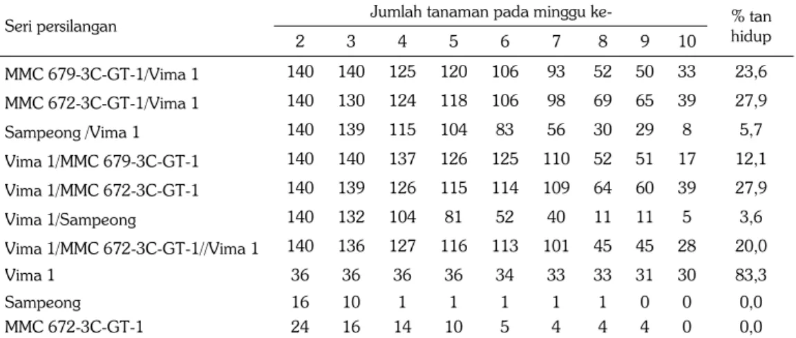 Tabel 1. Jumlah tanaman hidup galur F3 kacang hijau pada cekaman salinitas sejak awal pertum- pertum-buhan