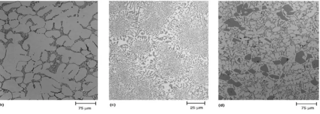 Gambar 2.10 Struktur mikro paduan Al-Si (a) Struktur mikro paduan hypoeutectic  (1.65-12.6 wt% Si)