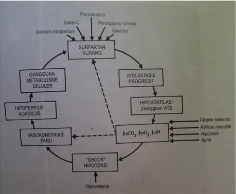 Gambar 4. Patofisiologi penyakit membran hialin