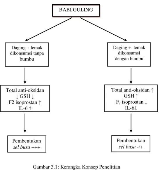 Gambar 3.1: Kerangka Konsep Penelitian 