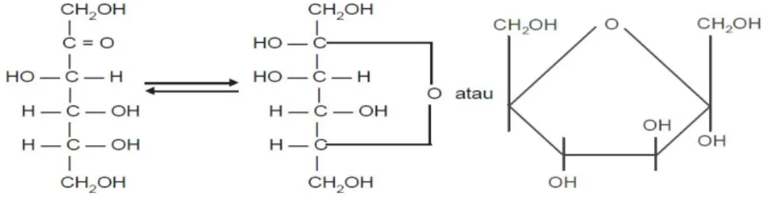Gambar 2.1  Struktur terbuka α D (+) Glukosa 