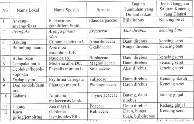 Tabel 1. Nama Tumbuhan, Bagian Tumbuhan yang Dimanfaatkan, Jenis Gangguan Saluran Kencing yang Dapat Disembuhkan