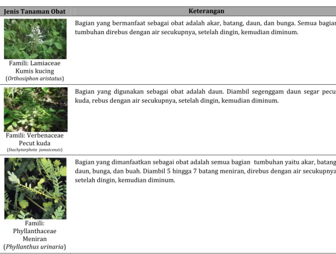 Tabel 2. Cara meramu dan penggunaan tumbuhan obat pada lima kampung di Kabupaten Raja Ampat (Lanjutan) 