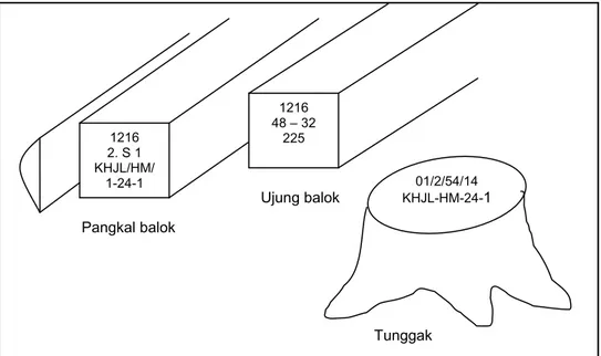 Gambar 6  Penomoran pada tunggak dan kayu persegian. 