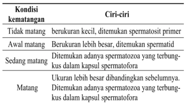 Gambar 3.  Struktur histologis testis kepiting  kelapa jantan memperlihatkan  tu-buli dengan sel spermatogenik pada  berbagai tahap yaitu spermatosit  primer (A), spermatid (B),  Sperma-tozoa yang terbungkus di dalam  spermatofora yang berbentuk  kap-sul (