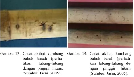 Gambar 13.  Cacat  akibat  kumbang  bubuk  basah   (perha-tikan  lubang-lubang  dengan  pinggir  hitam