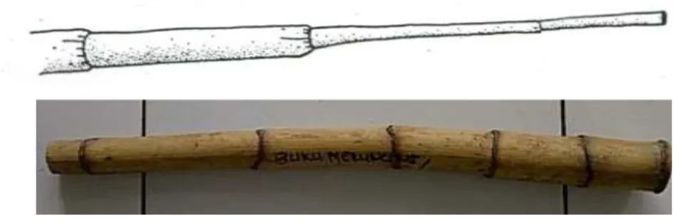 Gambar 18.   Cacat  batang  meruncing.  (Sumber:  Hing,  1991  dan  Jasni, 2010).