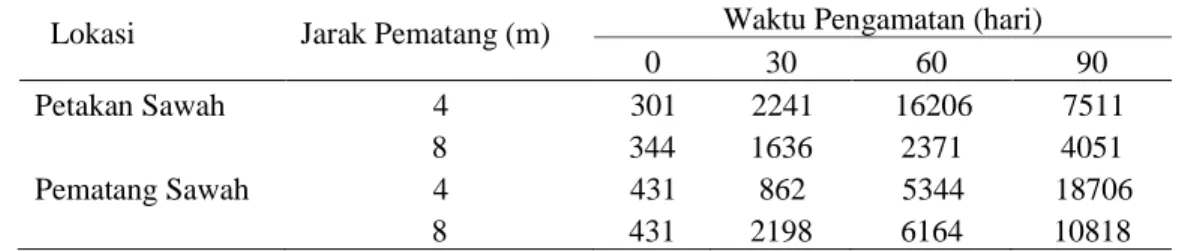 Tabel  1.  Jumlah  total  fauna  tanah  (individu/m 2 )  di  petak  sawah  dengan  jarak  pematang 4 m dan 8 m pada hari ke-0, 30, 60, dan 90