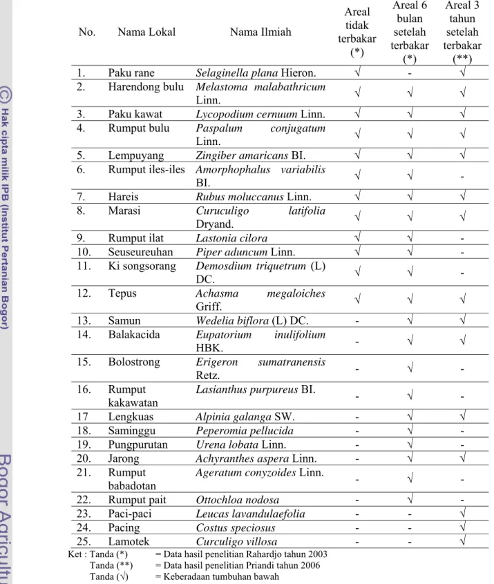 Tabel 1. Jenis-jenis Tumbuhan Bawah pada Areal Tidak Terbakar dan Areal  Terbakar di bawah Tegakan Pinus merkusii 
